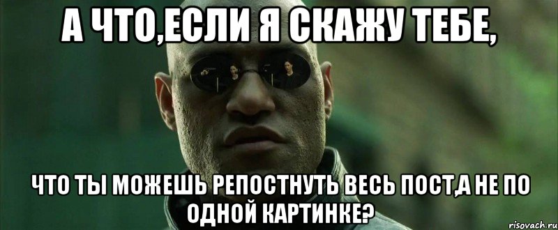 а что,если я скажу тебе, что ты можешь репостнуть весь пост,а не по одной картинке?, Мем  морфеус