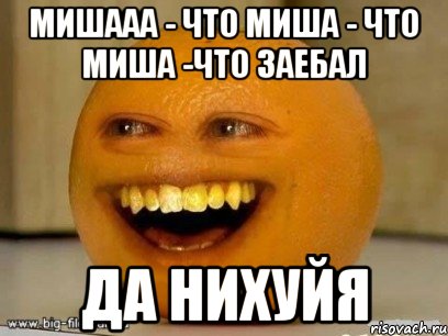 мишааа - что миша - что миша -что заебал да нихуйя, Мем Надоедливый апельсин