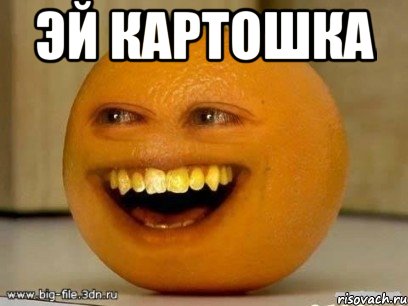 эй картошка , Мем Надоедливый апельсин