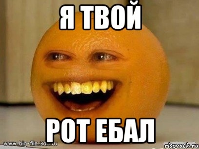 я твой рот ебал, Мем Надоедливый апельсин