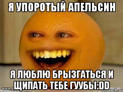 я упоротый апельсин я люблю брызгаться и щипать тебе гуубы:dd, Мем Надоедливый апельсин