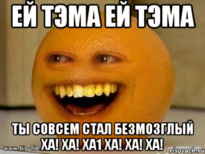 ей тэма ей тэма ты совсем стал безмозглый ха! ха! ха1 ха! ха! ха!, Мем Надоедливый апельсин