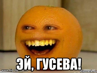  эй, гусева!, Мем Надоедливый апельсин