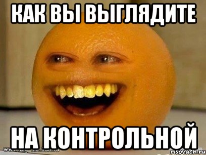 как вы выглядите на контрольной, Мем Надоедливый апельсин
