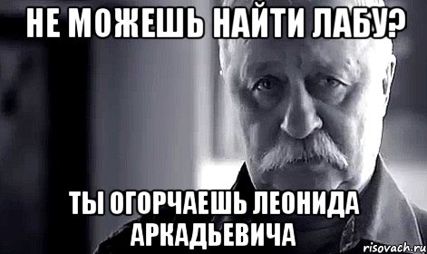 не можешь найти лабу? ты огорчаешь леонида аркадьевича