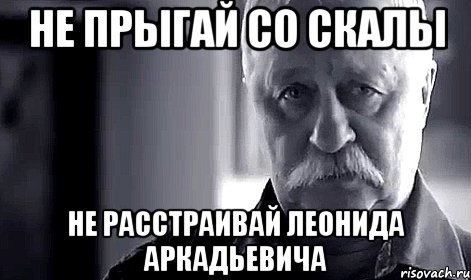 не прыгай со скалы не расстраивай леонида аркадьевича, Мем Не огорчай Леонида Аркадьевича