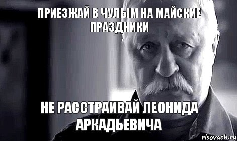 Приезжай в Чулым на майские праздники не расстраивай Леонида Аркадьевича, Мем Не огорчай Леонида Аркадьевича