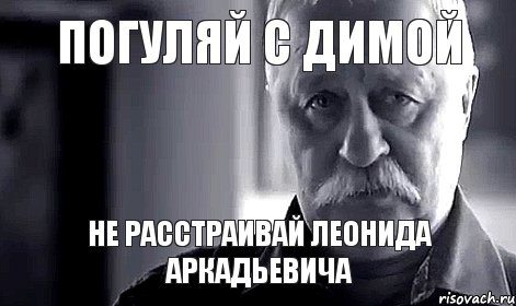 Погуляй с Димой не расстраивай Леонида Аркадьевича, Мем Не огорчай Леонида Аркадьевича