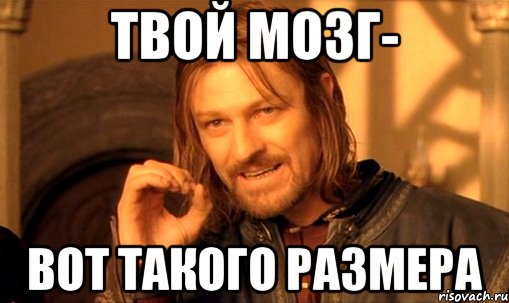 твой мозг- вот такого размера, Мем Нельзя просто так взять и (Боромир мем)