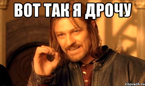 вот так я дрочу , Мем Нельзя просто так взять и (Боромир мем)