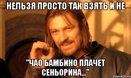 нельзя просто так взять и не "чао бамбино плачет сеньорина...", Мем Нельзя просто так взять и (Боромир мем)