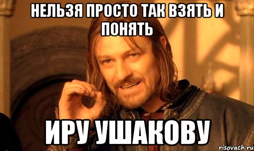 нельзя просто так взять и понять иру ушакову, Мем Нельзя просто так взять и (Боромир мем)