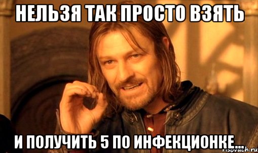 нельзя так просто взять и получить 5 по инфекционке..., Мем Нельзя просто так взять и (Боромир мем)