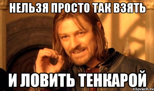 нельзя просто так взять и ловить тенкарой, Мем Нельзя просто так взять и (Боромир мем)