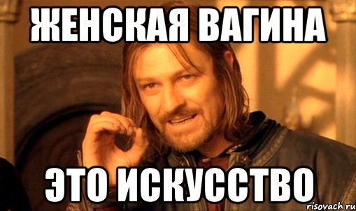 женская вагина это искусство, Мем Нельзя просто так взять и (Боромир мем)