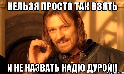 нельзя просто так взять и не назвать надю дурой!!, Мем Нельзя просто так взять и (Боромир мем)