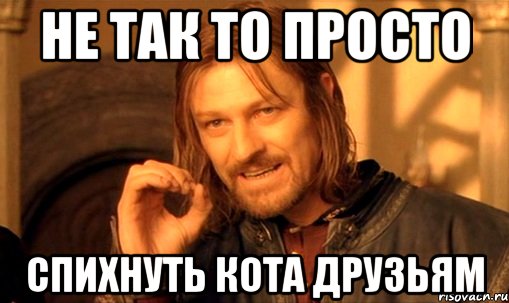 не так то просто спихнуть кота друзьям, Мем Нельзя просто так взять и (Боромир мем)