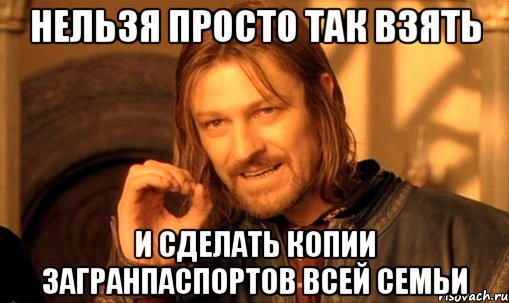 нельзя просто так взять и сделать копии загранпаспортов всей семьи, Мем Нельзя просто так взять и (Боромир мем)