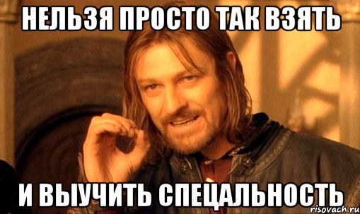 нельзя просто так взять и выучить спецальность, Мем Нельзя просто так взять и (Боромир мем)