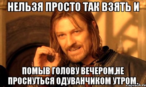 нельзя просто так взять и помыв голову вечером,не проснуться одуванчиком утром., Мем Нельзя просто так взять и (Боромир мем)