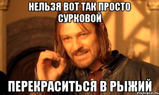 нельзя вот так просто сурковой перекраситься в рыжий, Мем Нельзя просто так взять и (Боромир мем)