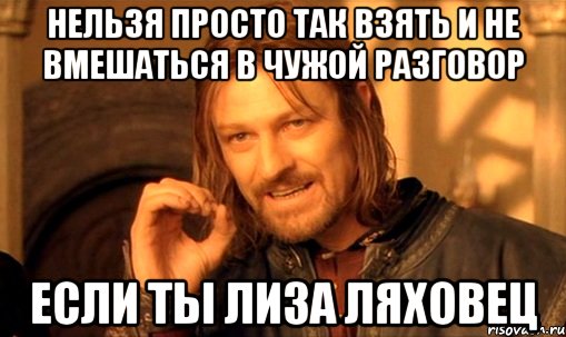 нельзя просто так взять и не вмешаться в чужой разговор если ты лиза ляховец, Мем Нельзя просто так взять и (Боромир мем)