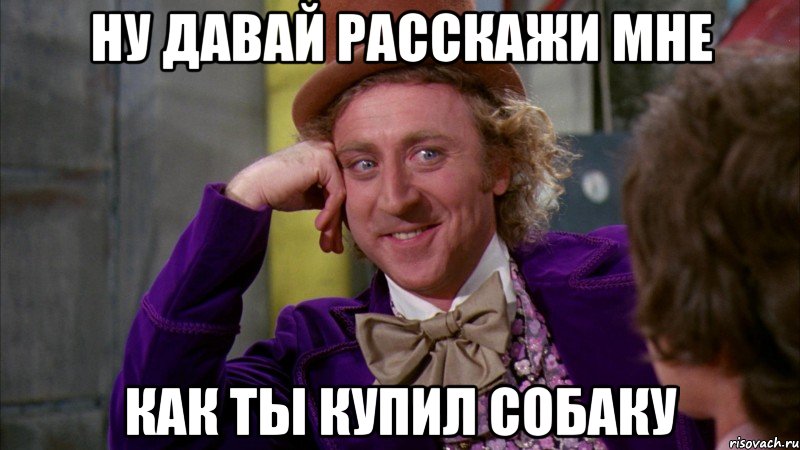 ну давай расскажи мне как ты купил собаку, Мем Ну давай расскажи (Вилли Вонка)