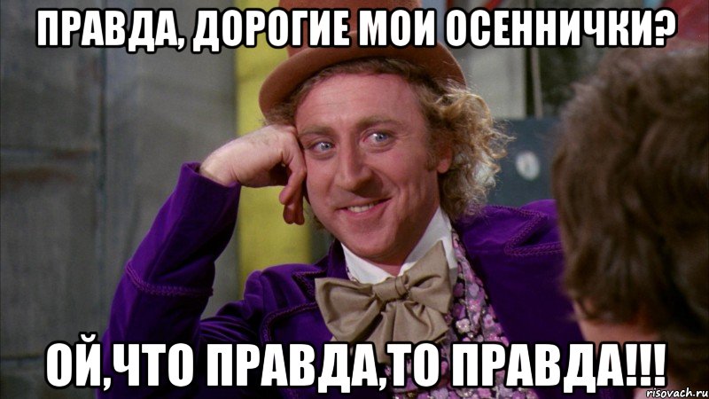 правда, дорогие мои осеннички? ой,что правда,то правда!!!, Мем Ну давай расскажи (Вилли Вонка)