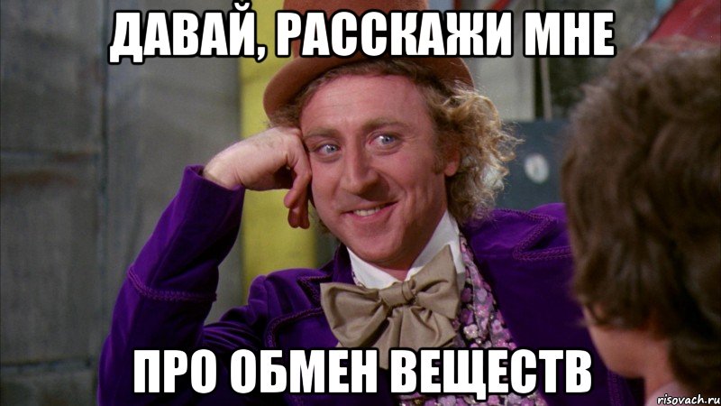 давай, расскажи мне про обмен веществ, Мем Ну давай расскажи (Вилли Вонка)