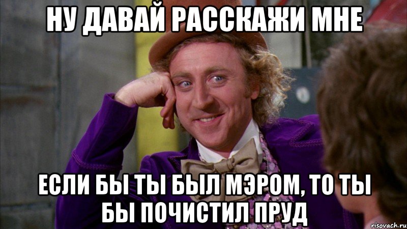 ну давай расскажи мне если бы ты был мэром, то ты бы почистил пруд, Мем Ну давай расскажи (Вилли Вонка)