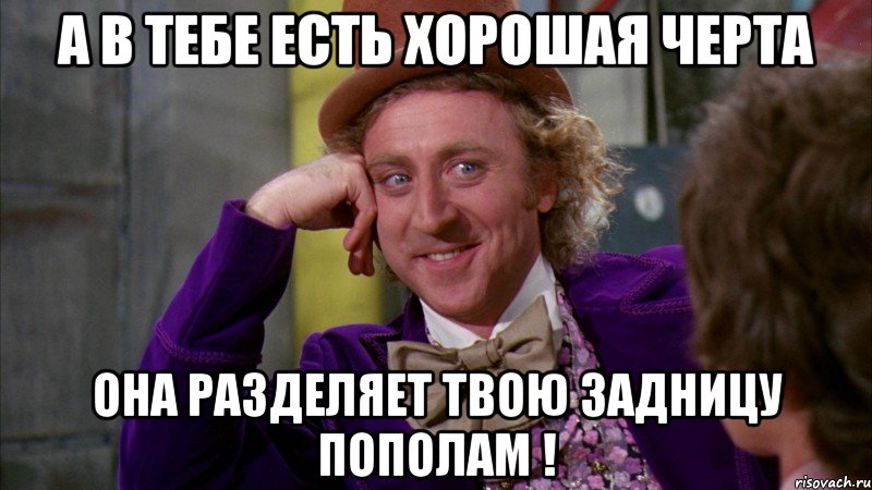 а в тебе есть хорошая черта она разделяет твою задницу пополам !, Мем Ну давай расскажи (Вилли Вонка)