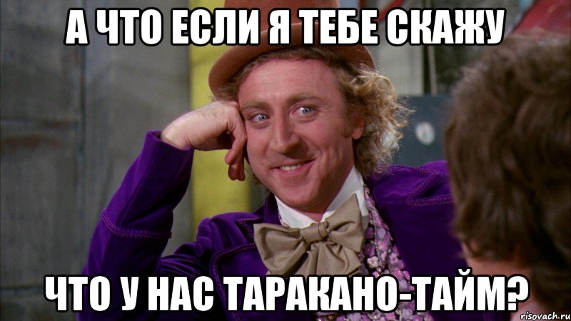 а что если я тебе скажу что у нас таракано-тайм?, Мем Ну давай расскажи (Вилли Вонка)