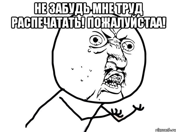 не забудь мне труд распечатать! пожалуйстаа! , Мем Ну почему (белый фон)