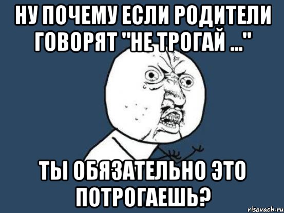 ну почему если родители говорят "не трогай ..." ты обязательно это потрогаешь?, Мем Ну почему