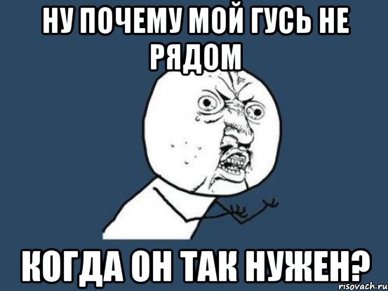 ну почему мой гусь не рядом когда он так нужен?, Мем Ну почему