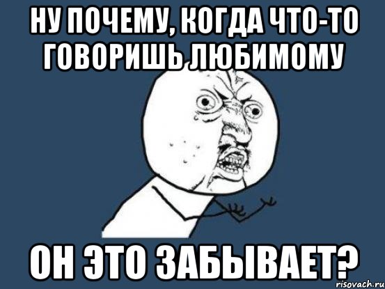 ну почему, когда что-то говоришь любимому он это забывает?, Мем Ну почему