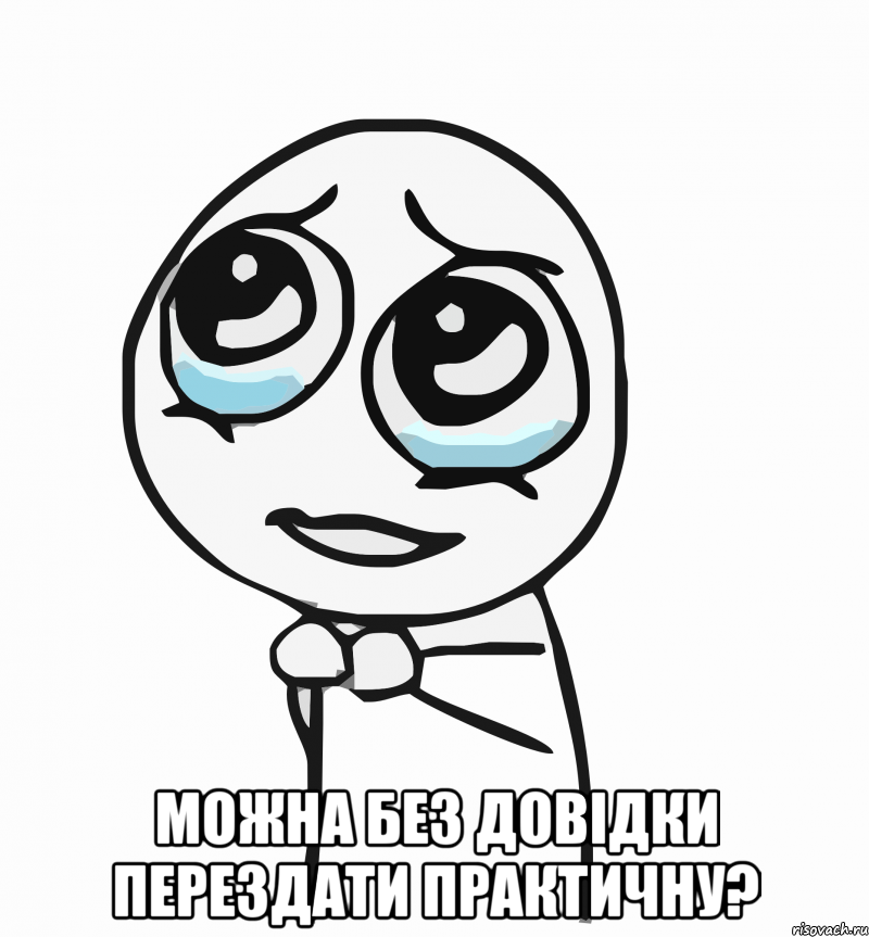  можна без довідки перездати практичну?, Мем  ну пожалуйста (please)