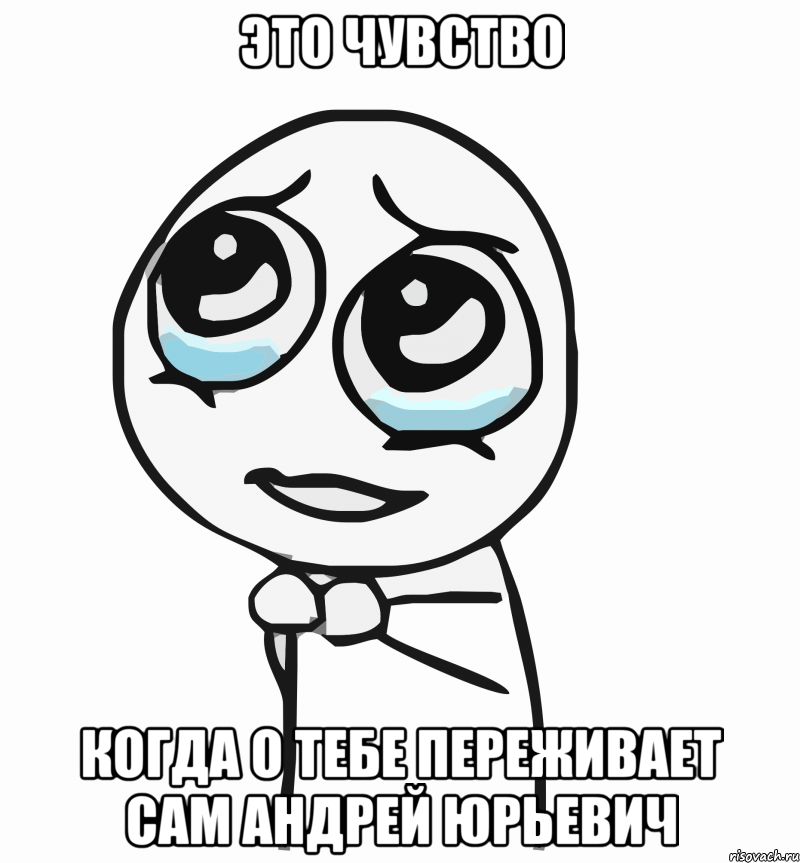 это чувство когда о тебе переживает сам андрей юрьевич, Мем  ну пожалуйста (please)