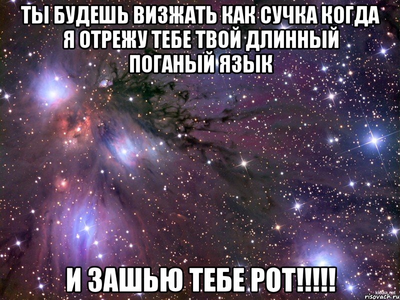 ты будешь визжать как сучка когда я отрежу тебе твой длинный поганый язык и зашью тебе рот!!!, Мем Космос