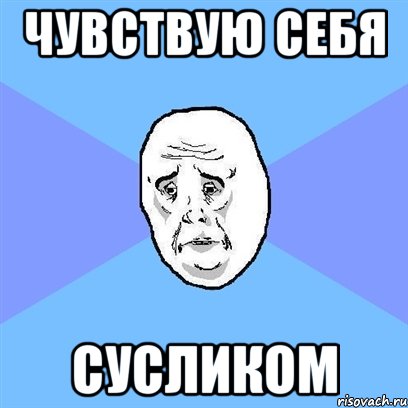 чувствую себя сусликом, Мем Okay face