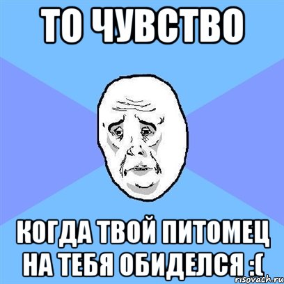 то чувство когда твой питомец на тебя обиделся :(, Мем Okay face