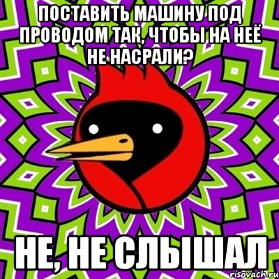 поставить машину под проводом так, чтобы на неё не насрали? не, не слышал, Мем Омская птица