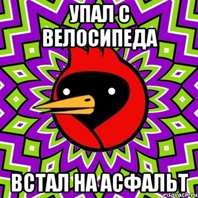 упал с велосипеда встал на асфальт, Мем Омская птица