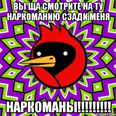 вы ща смотрите на ту наркоманию сзади меня наркоманы!!!, Мем Омская птица