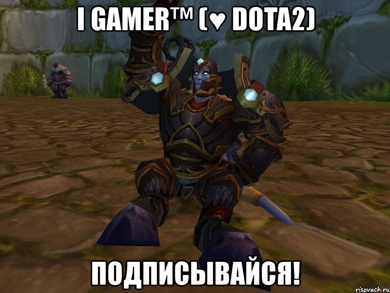 i gamer™ (♥ dota2) подписывайся!, Мем паладин