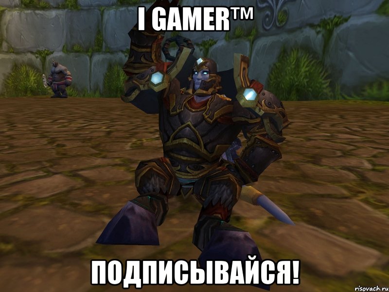 i gamer™ подписывайся!, Мем паладин