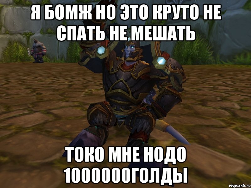 я бомж но это круто не спать не мешать токо мне нодо 1000000голды, Мем паладин