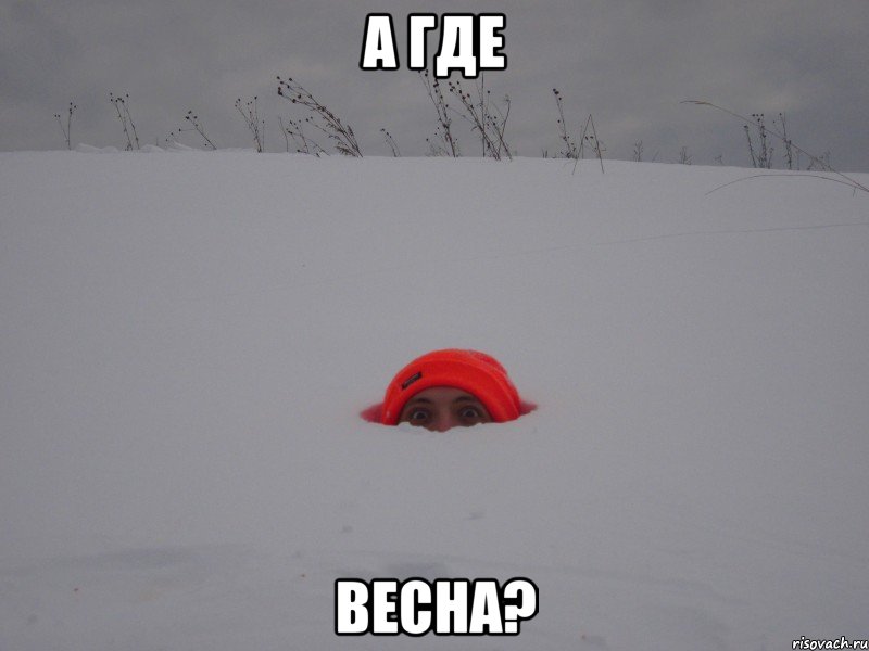 а где весна?, Мем Паша