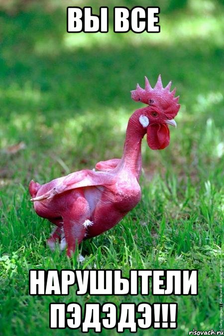 вы все нарушытели пэдэдэ!!!