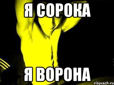 я сорока я ворона